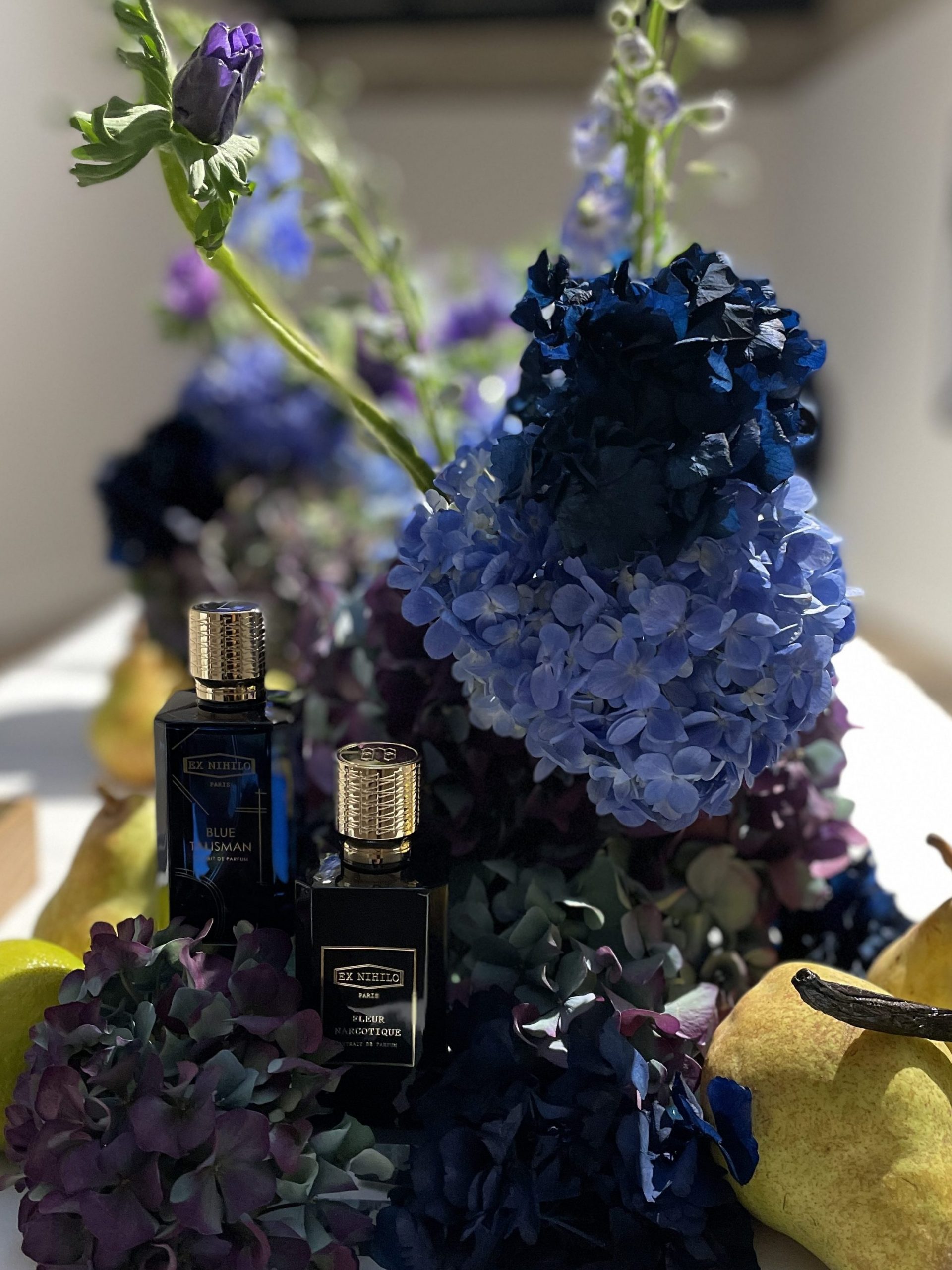 International Press Day